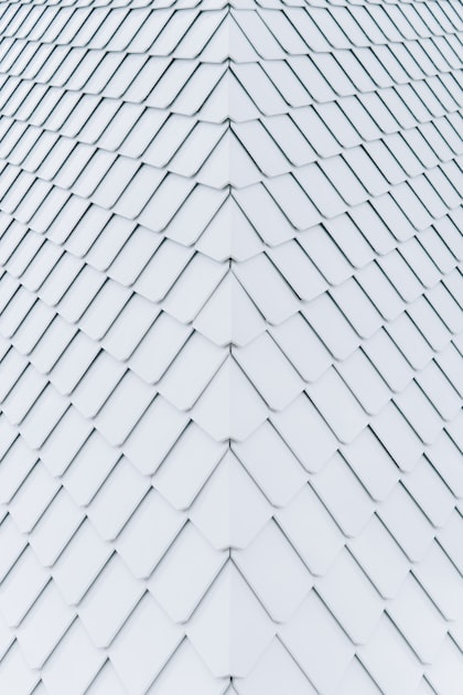 Importance of Roof Maintenance